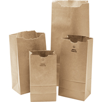 #3 Kraft Bag, Paper, 4-3/4" W x 8-1/2" L PG697 | Rideout Tool & Machine Inc.