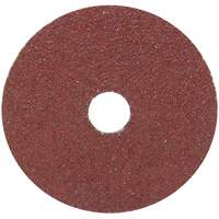 Resin Fibre Sanding Disc, Aluminum Oxide, 24, 4-1/2" Dia x 7/8" Arbor Rideout Tool & Machine Inc.