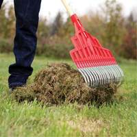Multi-Purpose Lawn Rake, 20" Blade, 20 Tines, Hardwood Handle, Steel Blade Rideout Tool & Machine Inc.