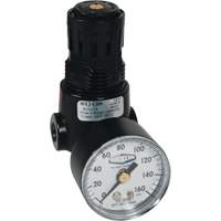 Wilkerson Miniature Regulator R04, 1/4" NPT, 300 psi Max. PSI, Standard Rideout Tool & Machine Inc.