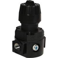 Wilkerson Compact Regulator R16, 1/4" NPT, 300 psi Max. PSI, Standard Rideout Tool & Machine Inc.