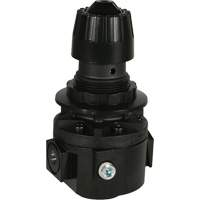 Wilkerson Regulator R26, 3/8" NPT, 300 psi Max. PSI, Standard Rideout Tool & Machine Inc.