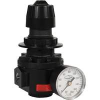Wilkerson Regulator R26, 1/2" NPT, 300 psi Max. PSI, Standard Rideout Tool & Machine Inc.