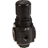 Series 1 Manifold Regulator, 1/4" NPT, 150 PSI Max. PSI, Standard Rideout Tool & Machine Inc.