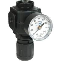 Series 1 Compact Regulator, 1/2" NPT, 150 PSI Max. PSI, Standard Rideout Tool & Machine Inc.