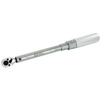 Cl&eacute; dynamom&eacute;trique &agrave; microm&egrave;tre, &agrave; cliquer, Entraînement 3/8" carr&eacute;, 30 - 250 lb-po Rideout Tool & Machine Inc.