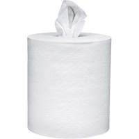 Scott<sup>®</sup> Essential Paper Towels, 2 Ply, Centre Pull, 625' L NJI990 | Rideout Tool & Machine Inc.