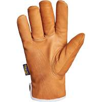 Gants Endura, Grand, Paume en Synth&eacute;tique, Doublure en Thinsulate Rideout Tool & Machine Inc.