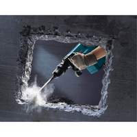 Demolition Hammer Rideout Tool & Machine Inc.