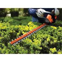 Max* Cordless Hedge Trimmer Kit, 22", 20 V, Battery Powered NO680 | Rideout Tool & Machine Inc.