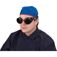 Lunettes &agrave; coque, Lentille 5,0, Anti-&eacute;gratignures, Ventilation Ferm&eacute; Rideout Tool & Machine Inc.