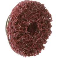 Disque TS &agrave; changement rapide 800069 P.A.R.T. # 21 Standard Abrasives, 5/8" dia., Grain Moyen, Oxyde d'aluminium Rideout Tool & Machine Inc.