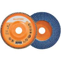 Flap Discs