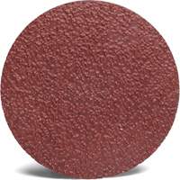 Disque abrasif Roloc 782C 3M, 2" dia., Grain 36+, C&eacute;ramique Rideout Tool & Machine Inc.