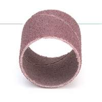 Evenrun Coated Abrasive Band, 1" x 1", Aluminum Oxide, P80 Grit Rideout Tool & Machine Inc.