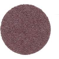 Surface Conditioning Disc, 1" Dia., P100 Grit, Aluminum Oxide Rideout Tool & Machine Inc.