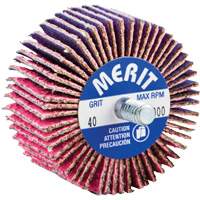 Mini-meule &agrave; lamelles filet&eacute;es, C&eacute;ramique d'alumine, Grain 40, 2" x 1" x 1/4"-20 Rideout Tool & Machine Inc.