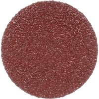 Lock Back Sanding Discs