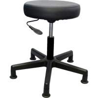 Tabouret de travail de s&eacute;rie 900, Stationnaire, Ajustable Hauteur, Capacit&eacute; 250 lb Rideout Tool & Machine Inc.