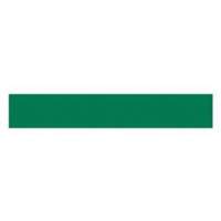 Write-On Magnetic Label, Magnetic, 600" L x 1" W Rideout Tool & Machine Inc.