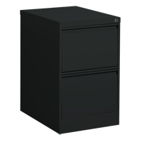 Vertical Filing Cabinet, Steel, 2 Drawers, 18-1/7" W x 25" D x 29" H, Black Rideout Tool & Machine Inc.