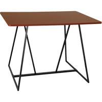 Oasis™ Standing Teaming Table, 48" L x 60" W x 42" H, Cherry OQ703 | Rideout Tool & Machine Inc.