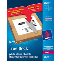 TrueBlock™ Laser Shipping Labels, 11" W x 8.5" L, White OT813 | Rideout Tool & Machine Inc.