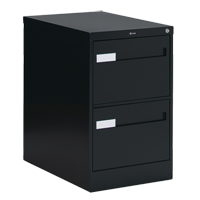 Vertical Filing Cabinet with Recessed Drawer Handles, 2 Drawers, 18.15" W x 26.56" D x 29" H, Black OTE611 | Rideout Tool & Machine Inc.