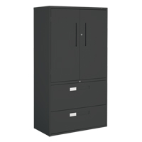 Multi-Stor Cabinet, Steel, 3 Shelves, 65-1/4" H x 36" W x 18" D, Black Rideout Tool & Machine Inc.