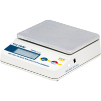Economy Precision Scales, 2000 g Cap., 1 g Graduations Rideout Tool & Machine Inc.