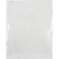 Poly Bags, Reclosable, 15" x 12", 2 mils PF961 | Rideout Tool & Machine Inc.