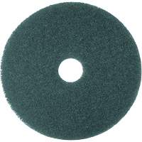 5300 Series Pad, 16", Cleaning, Blue PG207 | Rideout Tool & Machine Inc.