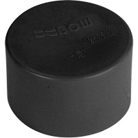 Soft Polyethylene-Blue Test Cap, 1-1/4", Standard, Plastic Rideout Tool & Machine Inc.