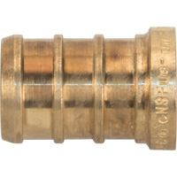 Lead-Free Pipe Plug, Pipe, 1/2" Dia., Brass Rideout Tool & Machine Inc.