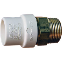 Threaded Pipe Adapter, Hub x MPT, 1" Dia., Brass/CPVC Rideout Tool & Machine Inc.