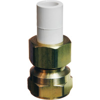 Transition Adapter, 1/2" Dia., Brass/CPVC Rideout Tool & Machine Inc.