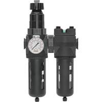 Filtre/d&eacute;tendeur & filtre coalescent Modulair 400 avec bol standard & drain manuel, 3/4" NPTF, 150 psi, Capacit&eacute; de 9,13 oz liq. Rideout Tool & Machine Inc.