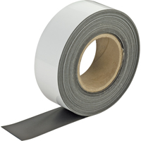 Write-On Magnetic Tags, Magnetic, 600" L x 2" W Rideout Tool & Machine Inc.