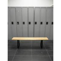 Locker Room Bench, Wood, 72" L x 9-1/2" W x 16-1/2" H RL873 | Rideout Tool & Machine Inc.