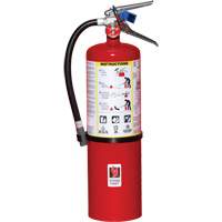 Fire Extinguisher, ABC, 10 lbs. Capacity Rideout Tool & Machine Inc.