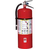 Fire Extinguisher, ABC, 20 lbs. Capacity Rideout Tool & Machine Inc.