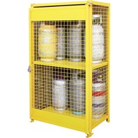 Gas Cylinder Cabinets, 12 Cylinder Capacity, 44" W x 30" D x 74" H, Yellow SAF847 | Rideout Tool & Machine Inc.