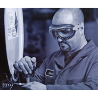 Uvex&reg; Flex Seal Safety Goggles, 3.0 Lens, Anti-Fog, Indirect Vent Rideout Tool & Machine Inc.