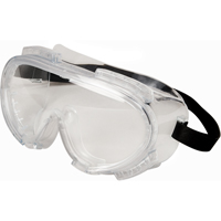 Encompass™ Safety Goggles, Clear Tint, Anti-Fog, Neoprene Band SAK589 | Rideout Tool & Machine Inc.