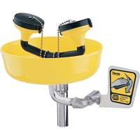 Poste de douche oculaire, Installation Support pour tuyau d'approvisionnement, Bol Plastique Rideout Tool & Machine Inc.