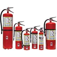 Fire Extinguisher, ABC, 30 lbs. Capacity SED110 | Rideout Tool & Machine Inc.
