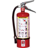 Fire Extinguisher, ABC, 5 lbs. Capacity SC946 | Rideout Tool & Machine Inc.