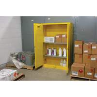 Flammable Storage Cabinet, 45 gal., 2 Door, 43" W x 65" H x 18" D SDN647 | Rideout Tool & Machine Inc.