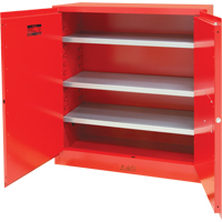Paint/Ink Cabinet, 45 gal., 3 Shelves SDN650 | Rideout Tool & Machine Inc.
