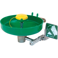 Axion&reg; Eye/Face Wash Station, Wall-Mount Installation, Plastic Bowl Rideout Tool & Machine Inc.
